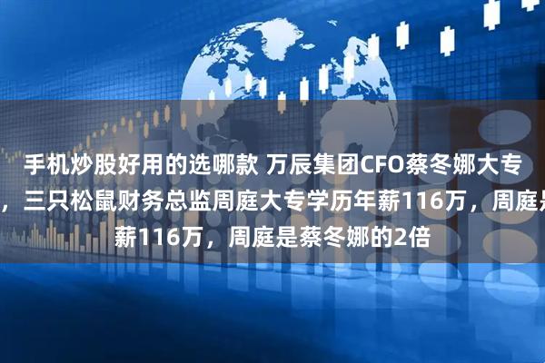 手机炒股好用的选哪款 万辰集团CFO蔡冬娜大专学历年薪57万，三只松鼠财务总监周庭大专学历年薪116万，周庭是蔡冬娜的2倍