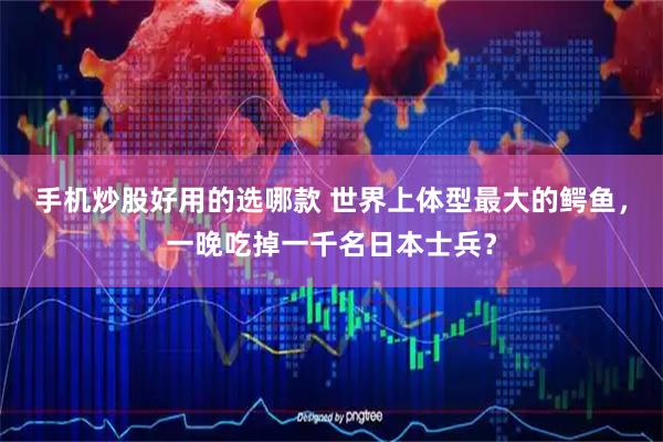 手机炒股好用的选哪款 世界上体型最大的鳄鱼，一晚吃掉一千名日本士兵？