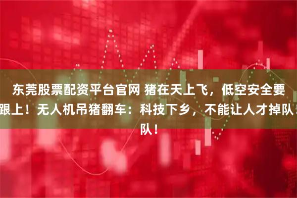 东莞股票配资平台官网 猪在天上飞，低空安全要跟上！无人机吊猪翻车：科技下乡，不能让人才掉队！