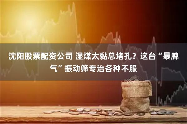 沈阳股票配资公司 湿煤太黏总堵孔?这台“暴脾气”振动筛专治各种不服